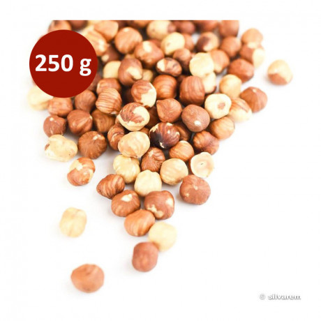 Noisette naturelle Italie Romaine 250 g