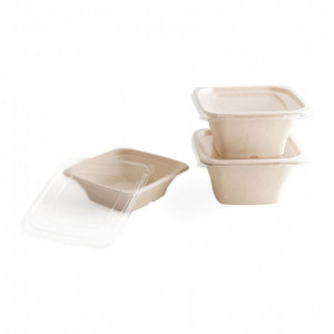 Square cane fiber salad bowl 180 x 180 x 90 mm 120 cL (400 pcs)