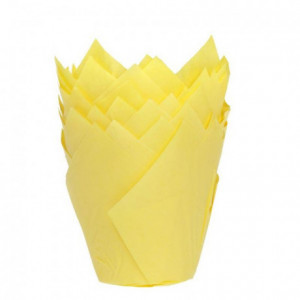 House of Marie Muffin Cups Tulip Yellow pk/36