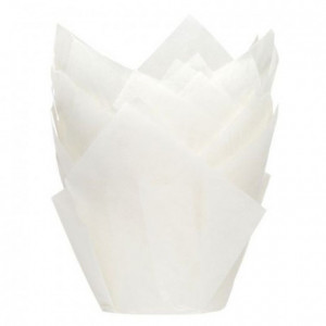 House of Marie Muffin Cups Tulip White pk/36