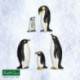 Katy Sue Mould - Penguin Family