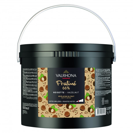 Praliné fruité noisette 66% 5 kg