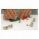 Box of small size decors cutters Exoglass (12 pcs)