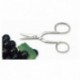 Grape or sea urchin scissors