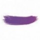 Colorant poudre alimentaire violet 25 g