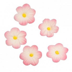 Culpitt Sugar decorations Daisy pink 12pcs