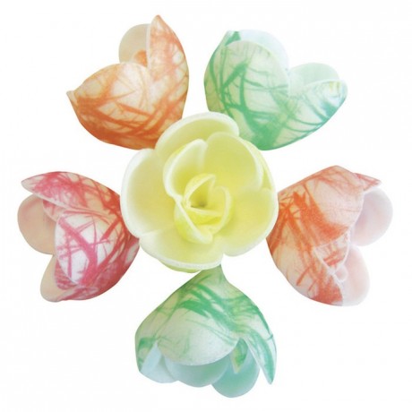 Décor azyme fleur pastel zébrée (lot de 72)