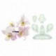 JEM Singapore Orchid Cutter Set/5