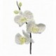 Découpoirs PME Orchidée 3 pièces