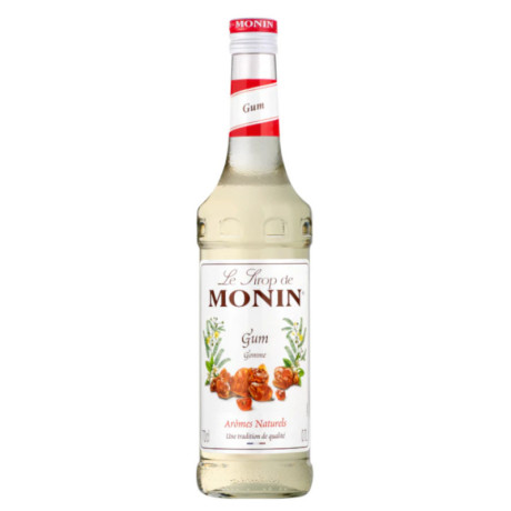 Gum Monin syrup 70 cL