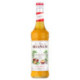 Passion Monin syrup 70 cL