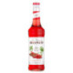 Spicy Monin syrup 70 cL