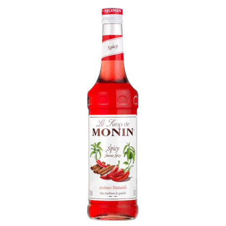 Sirop spicy Monin 70 cL