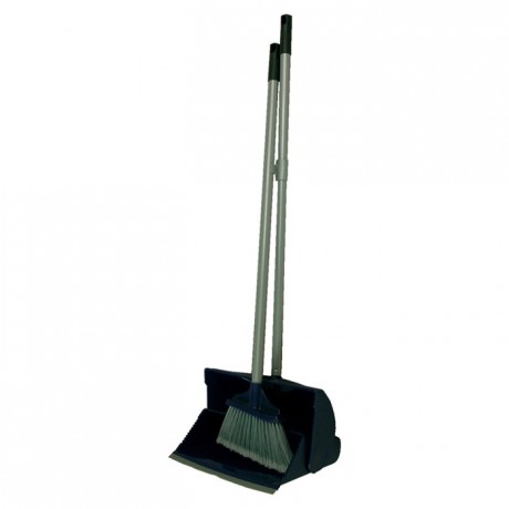 Brush and swing dustpan set