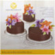 Wilton Cake & Dessert Stand (set of 3)