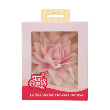 Fleurs comestibles en azyme FunCakes grande pivoine rose ombré 12,5 cm 1 pièce