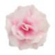 Edible Wafer Flowers FunCakes large ombré pink rose 12.5 cm 1 piece