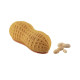 Moule silicone Arachide700 196 x 87 x 75 mm