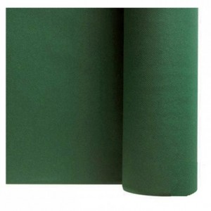 Nappe non tissée vert 1,20 x 50 m (lot de 1)