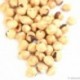 Blanched roasted Piedmont hazelnuts 1 kg