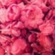 Crystallized roses of Love 1 kg