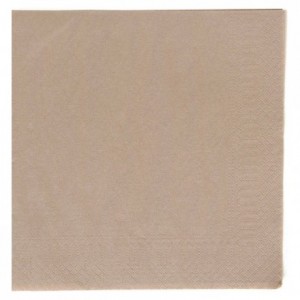 Serviette celi-ouate taupe 38 x 38 cm (lot de 900)