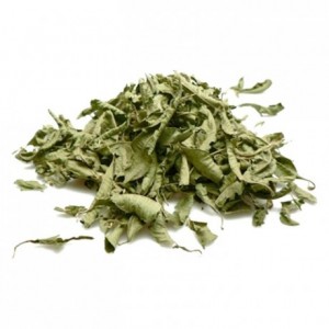 Verbena 100 g