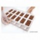 Choco Stick popsicles mould