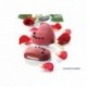 Heart popsicles mould