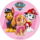 Sugar paste disc Paw Patrol 22 cm