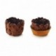 Basket crust cocoa La Rose Noire Ø40 mm (120 pcs)