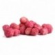 Lyophilized whole wild strawberry Sosa 60 g