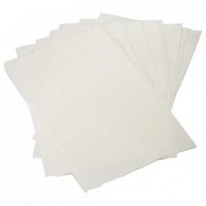 Napkin white for dispencer ref.713900 (4800 pcs)