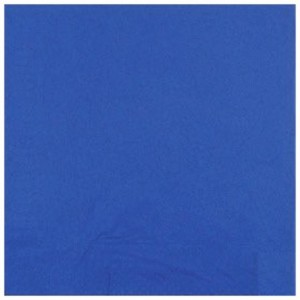 Serviette ouate marine 2 plis 40 x 40 cm (lot de 2400)