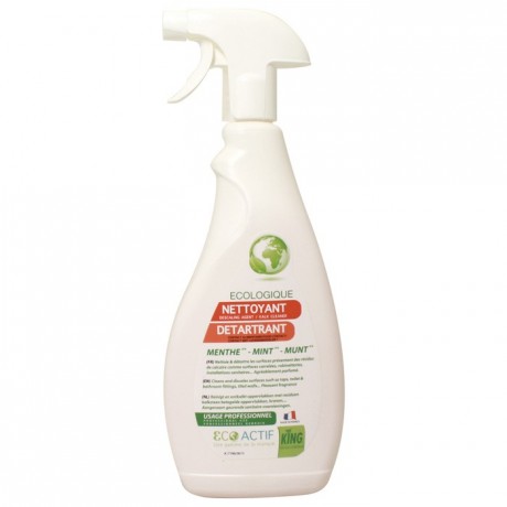 Descaling cleaner 5 L