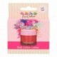 Poudre colorante alimentaire FunColours FunCakes Chili Red