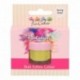 Poudre colorante alimentaire FunColours FunCakes Spring Green