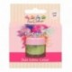 Poudre colorante alimentaire FunColours FunCakes Lime Zest